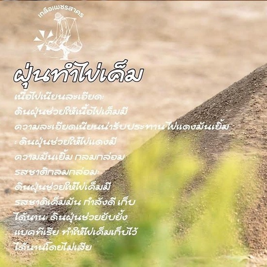 ขายส่งดินฝุ่นทำไข่เค็ม คุณภาพดี ราคาถูก - ขายเกลือ ราคาส่ง