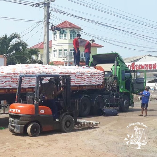 แหล่งขายส่งเกลือสมุทรสาคร เกลือแท้ ราคาถูก - ขายเกลือ ราคาส่ง