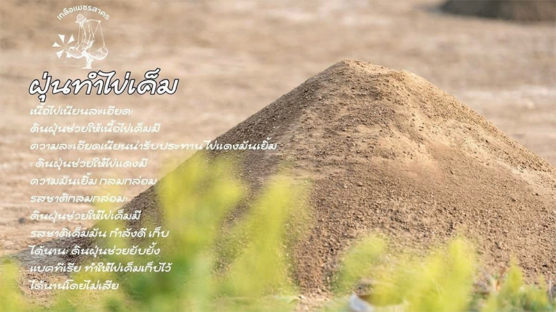 ขายส่งฝุ่นทำไข่เค็มราคาถูก